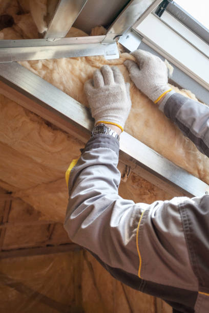 Best Commercial Insulation in Evansburg, PA
